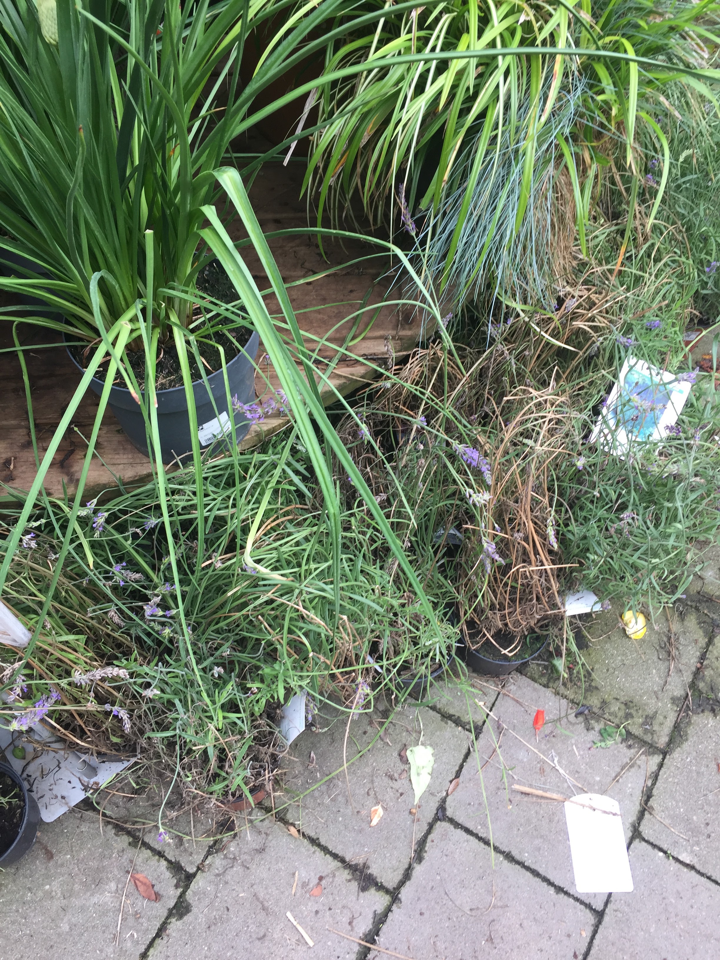 Photo n° 2 de l'avis de alexandre.a fait le 21/06/2018 à 08:49