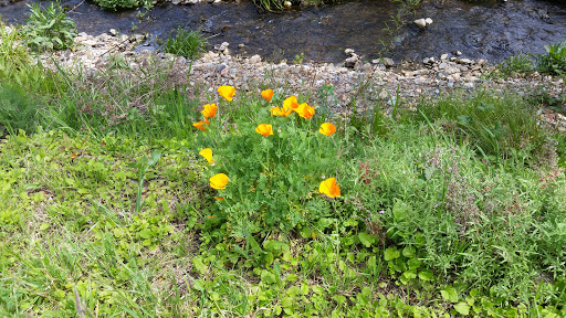 Sporting Goods Store «Mosquito Creek Outfitters», reviews and photos, 3000 Mosquito Rd, Placerville, CA 95667, USA