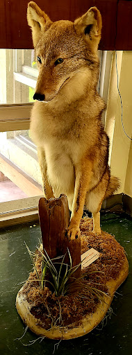 Nature Preserve «Calusa Nature Center & Planetarium», reviews and photos, 3450 Ortiz Ave, Fort Myers, FL 33905, USA