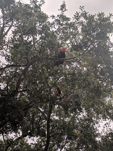 Museum «Ybor City State Museum», reviews and photos, 1818 E 9th Ave, Tampa, FL 33605, USA