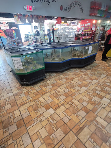 Pet Store «Exotic Tropical Petworld LLC.», reviews and photos, 1716 W Hackberry Ave, McAllen, TX 78501, USA