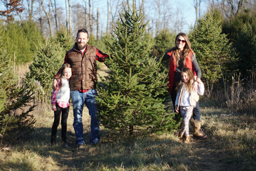 Albert Family Tree Farm image 2