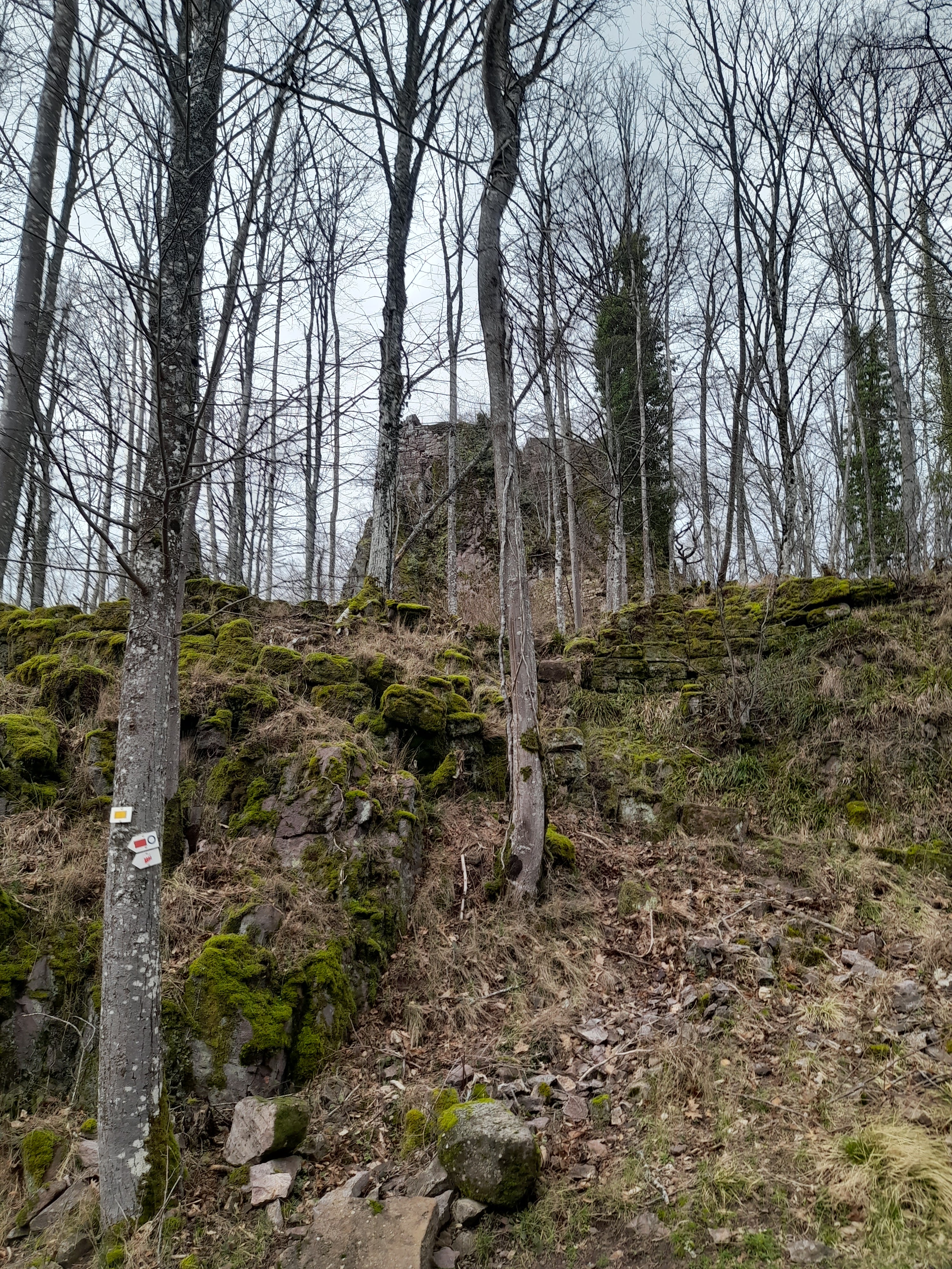 Photo n° 1 de l'avis de Allan. fait le 15/02/2024 à 17:31