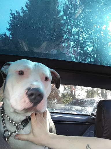 Car Wash «Finish Line Car Wash», reviews and photos, 13519 NE Fourth Plain Blvd, Vancouver, WA 98682, USA