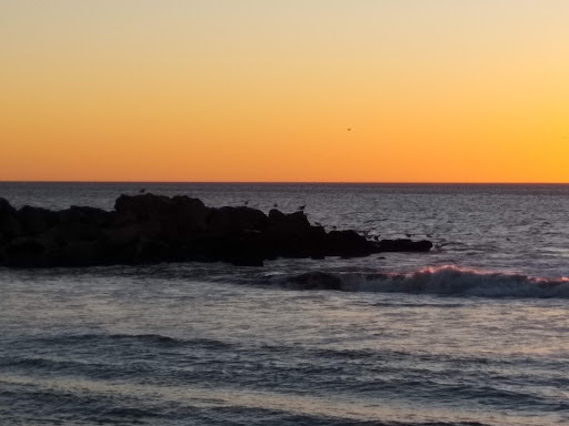 Book Store «Small World Books», reviews and photos, 1407 Ocean Front Walk, Venice, CA 90291, USA