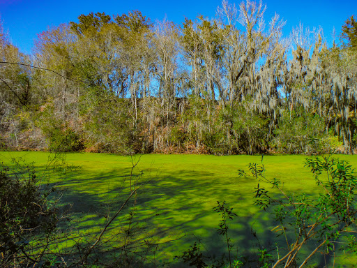 Park «Alafia River State Park», reviews and photos, 14326 S County Rd 39, Lithia, FL 33547, USA
