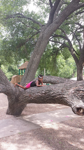 Park «Crawford Park», reviews and photos, 401 Straus Rd, Cedar Hill, TX 75104, USA