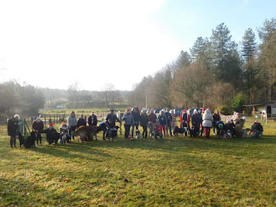 Club canin E.C.A.V 72 Education Des Chiens Actifs Et Visiteurs 72 à Changé