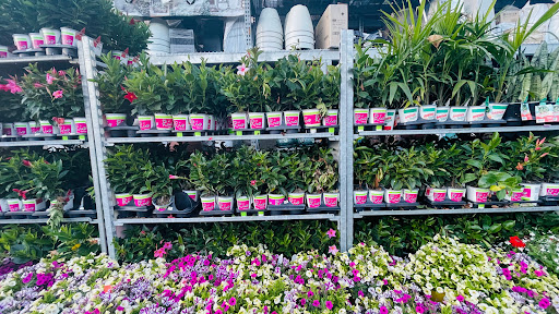 Home Improvement Store «The Home Depot», reviews and photos, 3051 E Main St, Mohegan Lake, NY 10547, USA