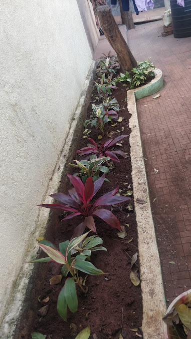 Dr Joglekars Dental Solutions - Dr Joglekars Dental Solutions