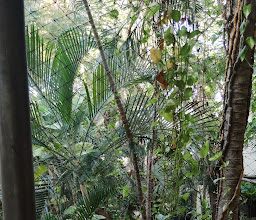 Hotel B&B by playa del carmen photo