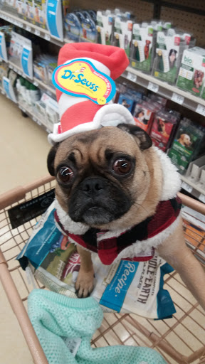 Pet Supply Store «Petco Animal Supplies», reviews and photos, 86 Storrs Rd, Mansfield Center, CT 06250, USA