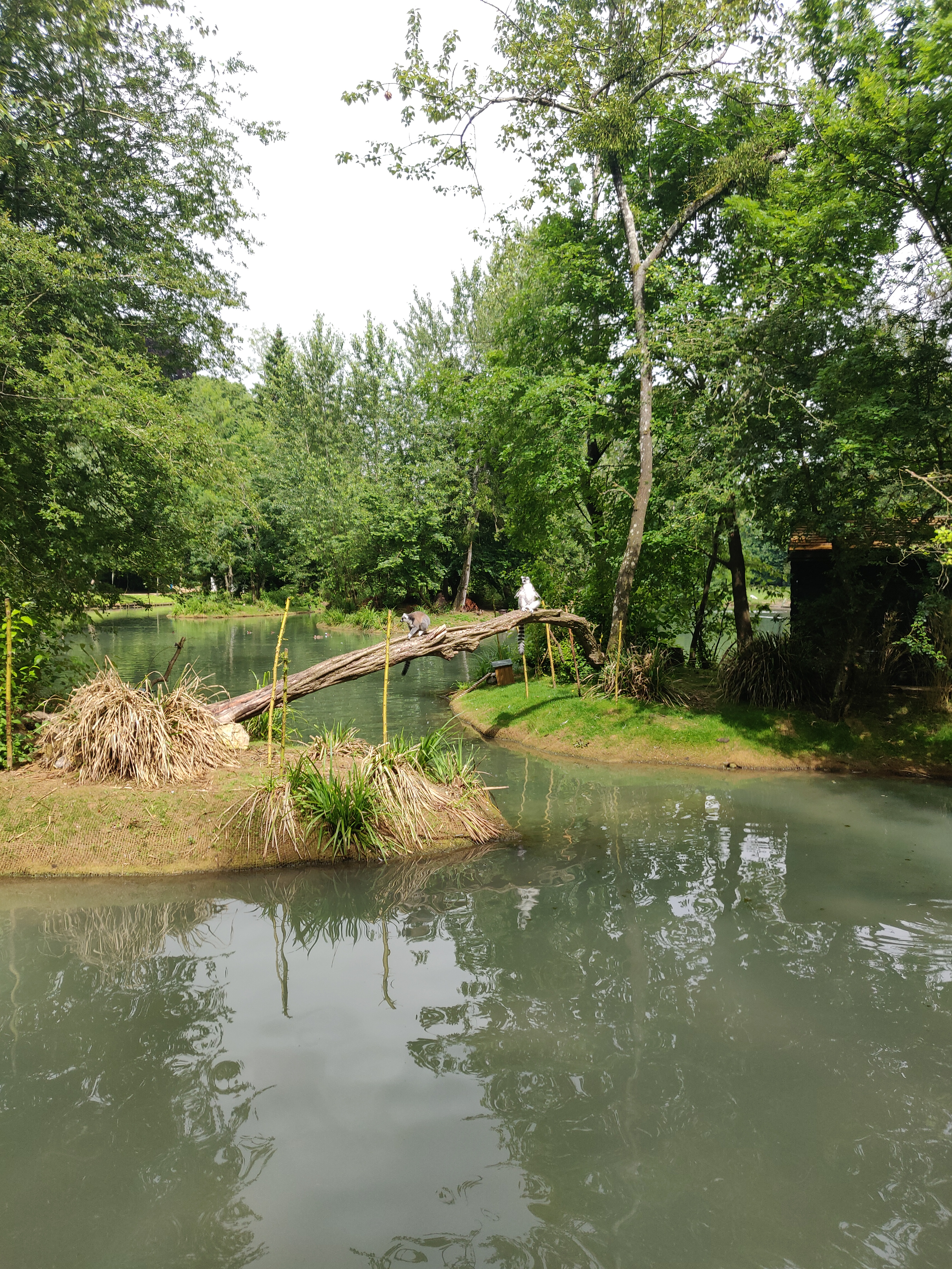 Photo n° 3 de l'avis de Chloé.b fait le 04/07/2021 à 12:42