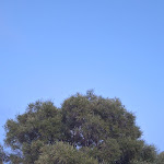 Photo n°23 de l'avis de Elisa.g fait le 07/09/2023 à 08:08 sur le  Agriturismo su Vrau à Torpè