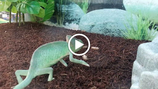 Pet Supply Store «Petco Animal Supplies», reviews and photos, 852 N Western Ave, San Pedro, CA 90732, USA