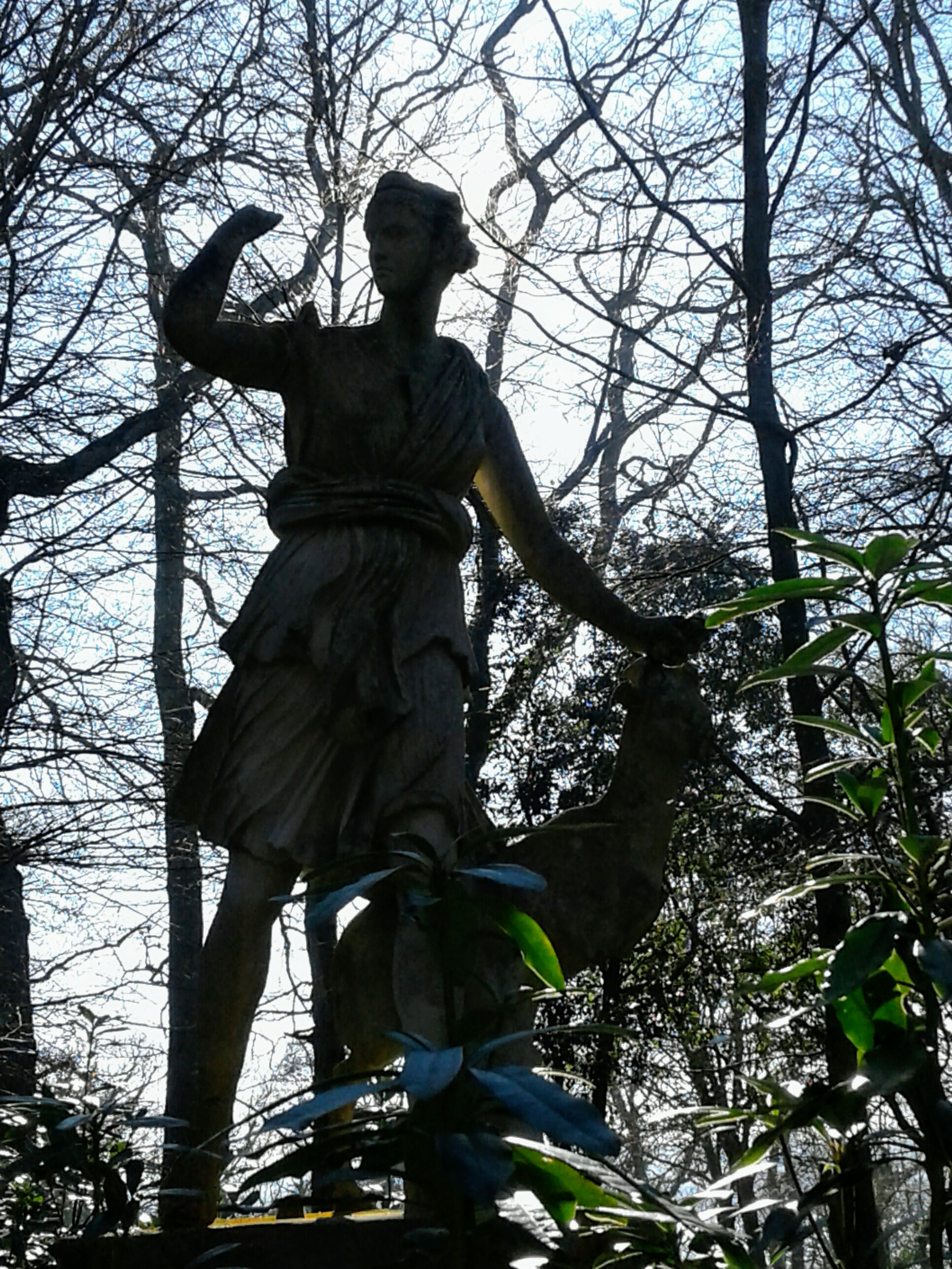 Photo n° 7 de l'avis de gourio.o fait le 09/03/2019 à 09:04
