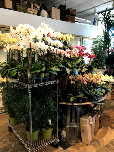 Florist «Absolutely Flowers & Balloons», reviews and photos, 10900 Westminster Ave # 4, Garden Grove, CA 92843, USA