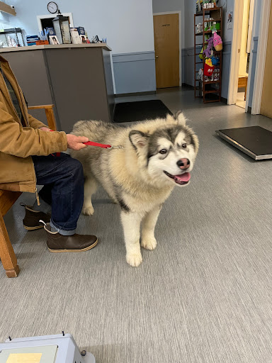 Wasilla Veterinary Clinic