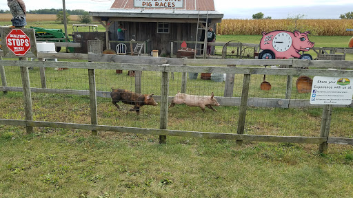 Tourist Attraction «Bloomsbury Farm», reviews and photos, 3260 69th St, Atkins, IA 52206, USA