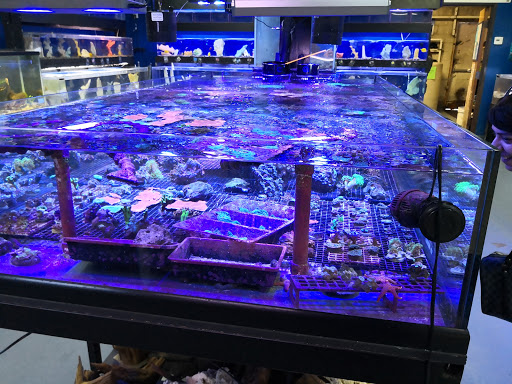 Tropical Fish Store «Aquatic Design», reviews and photos, 1629 N Central Expy, Plano, TX 75075, USA