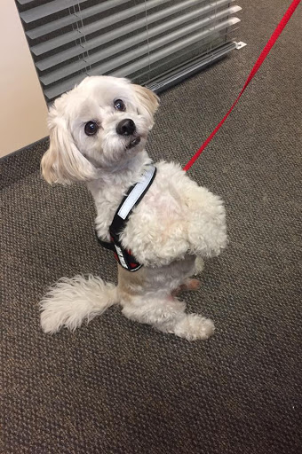 Insurance Agency «Allstate Insurance Agent: Misty Everette», reviews and photos