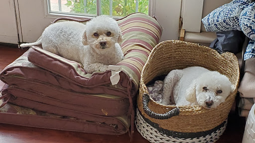 Pet Supply Store «Petco Animal Supplies», reviews and photos, 1591 Sloat Blvd, San Francisco, CA 94132, USA