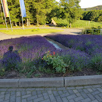 Photo n°18 de l'avis de Denis.i fait le 25/07/2019 à 18:39 sur le  Diehlberg - Hotel am See à Olpe