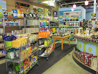 Wag Natural Pet Market & Grooming Tampa - Photo 3 - Car repair in Tampa, FL, Tampa