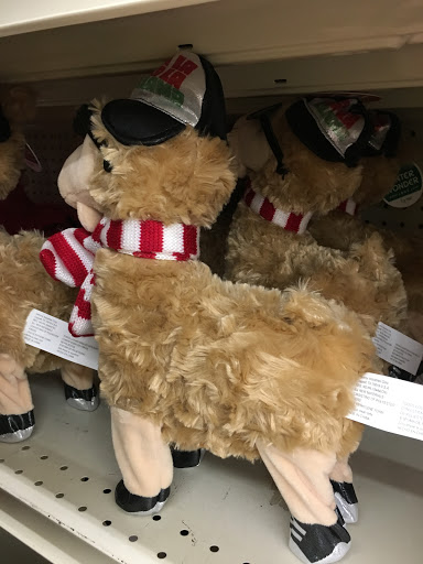 Discount Store «Big Lots», reviews and photos, 15501 Bustleton Ave, Philadelphia, PA 19116, USA