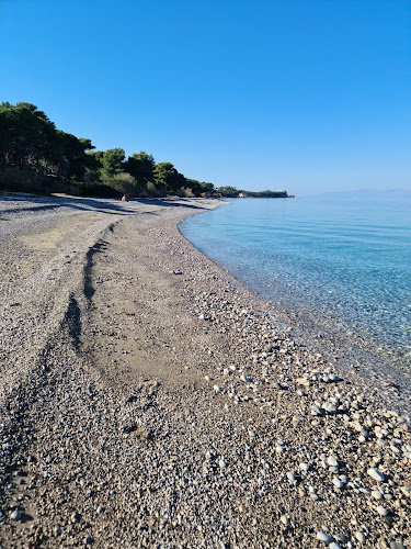 Σχόλια και κριτικές για το Sikyon Coast Hotel & Resort