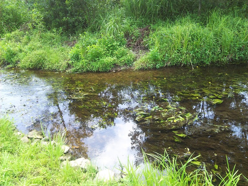 池河内湿原
