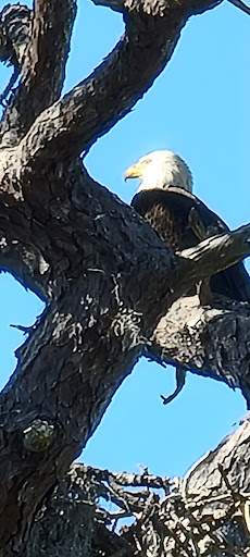 Bait Shop «J & J Bait and Tackle Outfitters II», reviews and photos, 1234 Baillies Bluff Road, Holiday, FL 34691, USA