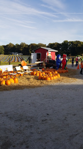 Farm «Warbington Farms (U-Pick Strawberries)», reviews and photos, 5555 Crow Rd, Cumming, GA 30041, USA