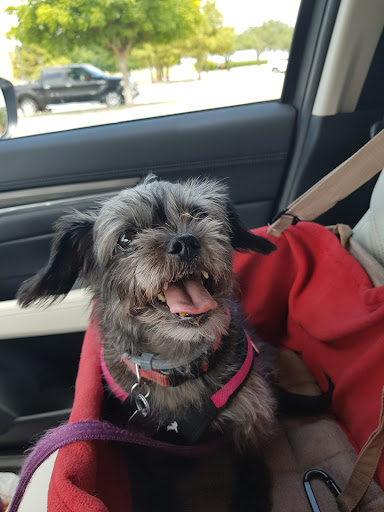 Pet Supply Store «Petco Animal Supplies», reviews and photos, 3055 N President George Bush Hwy, Garland, TX 75040, USA