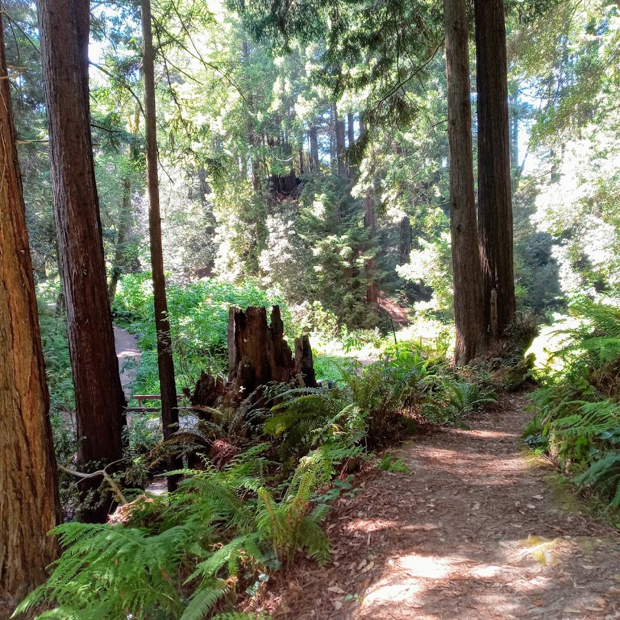 Otis R. Johnson Wilderness Park