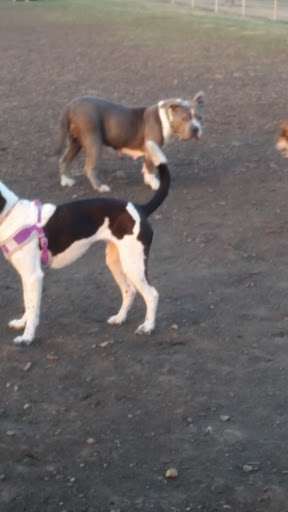 Dog Park «Dog Park», reviews and photos, 851 17th Ave SW, Altoona, IA 50009, USA