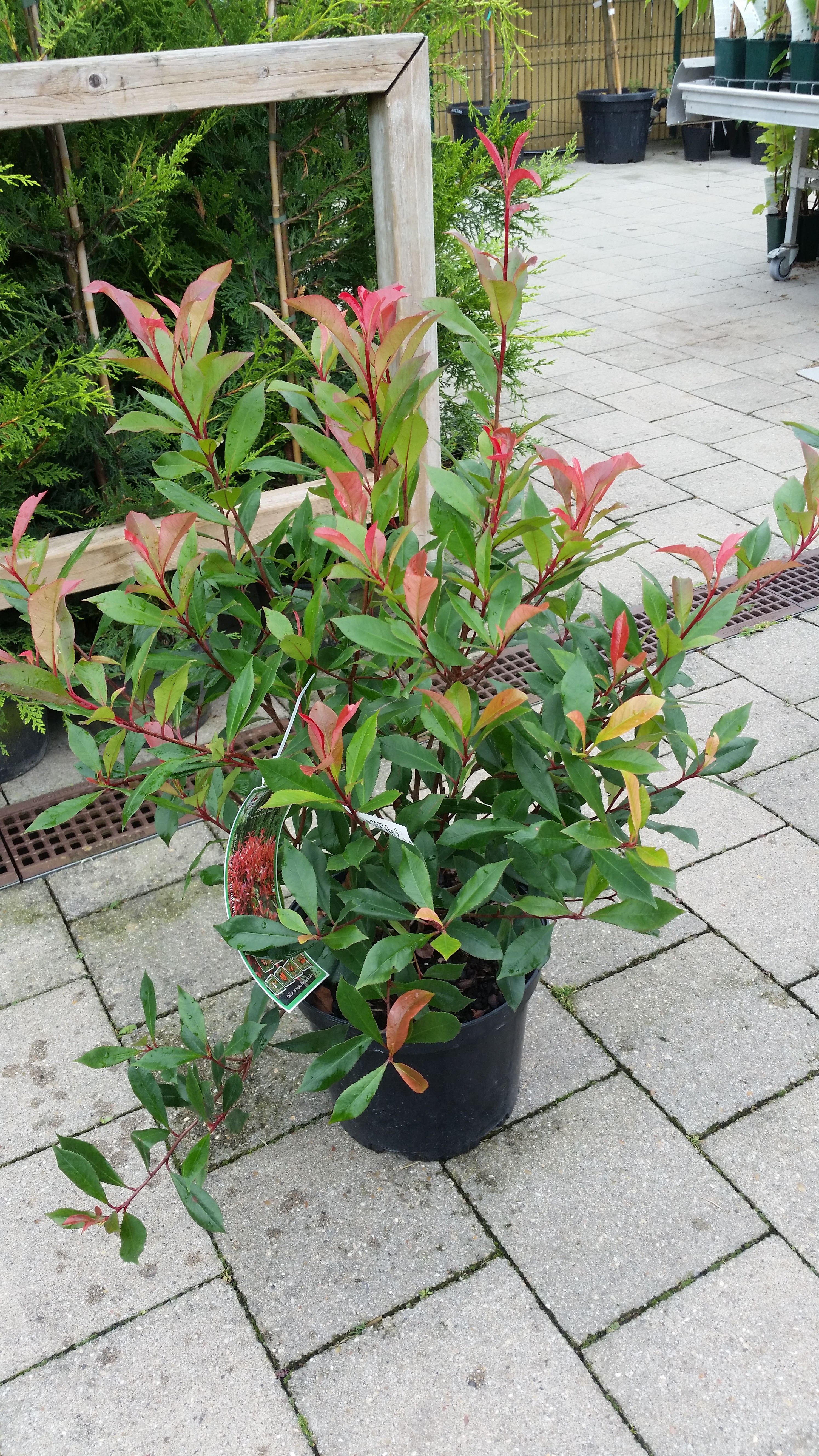 Photo n° 2 de l'avis de Christian91. fait le 09/06/2018 à 11:19