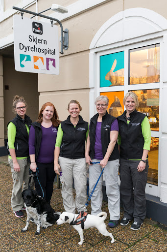 Skjern Dyrehospital in Skjern, Skjern