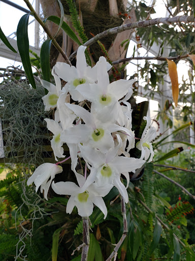 Nature Preserve «Duke Farms», reviews and photos, 1112 Dukes Pkwy W, Hillsborough Township, NJ 08844, USA