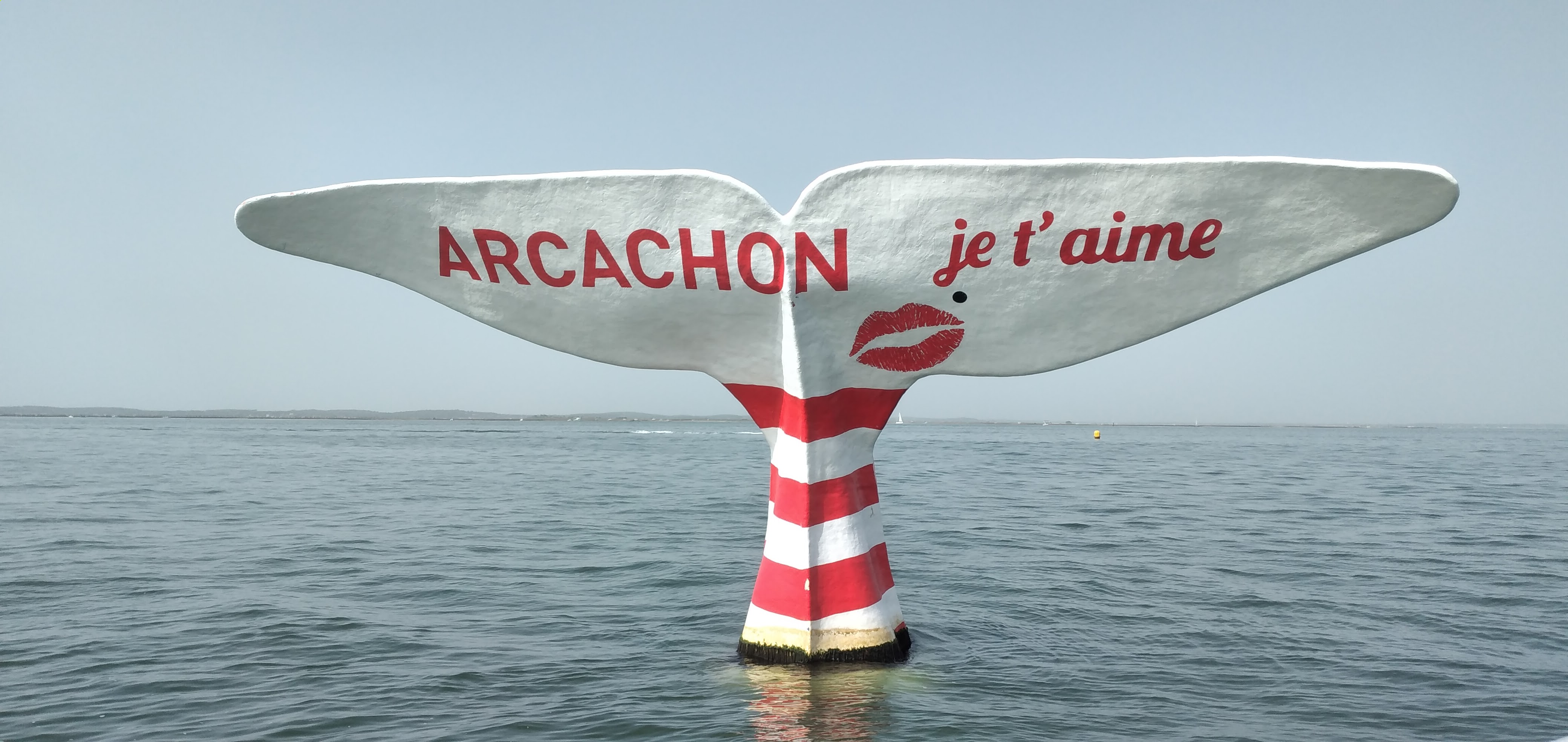 Photo n° 1 de l'avis de Francoise.o fait le 20/09/2023 à 16:38
