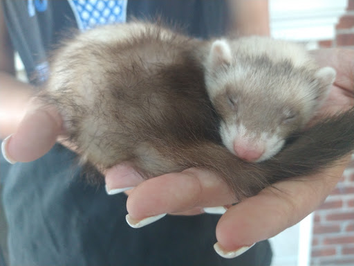 Pet Supply Store «Pet Partners», reviews and photos, 1962 W State St, Bristol, TN 37620, USA