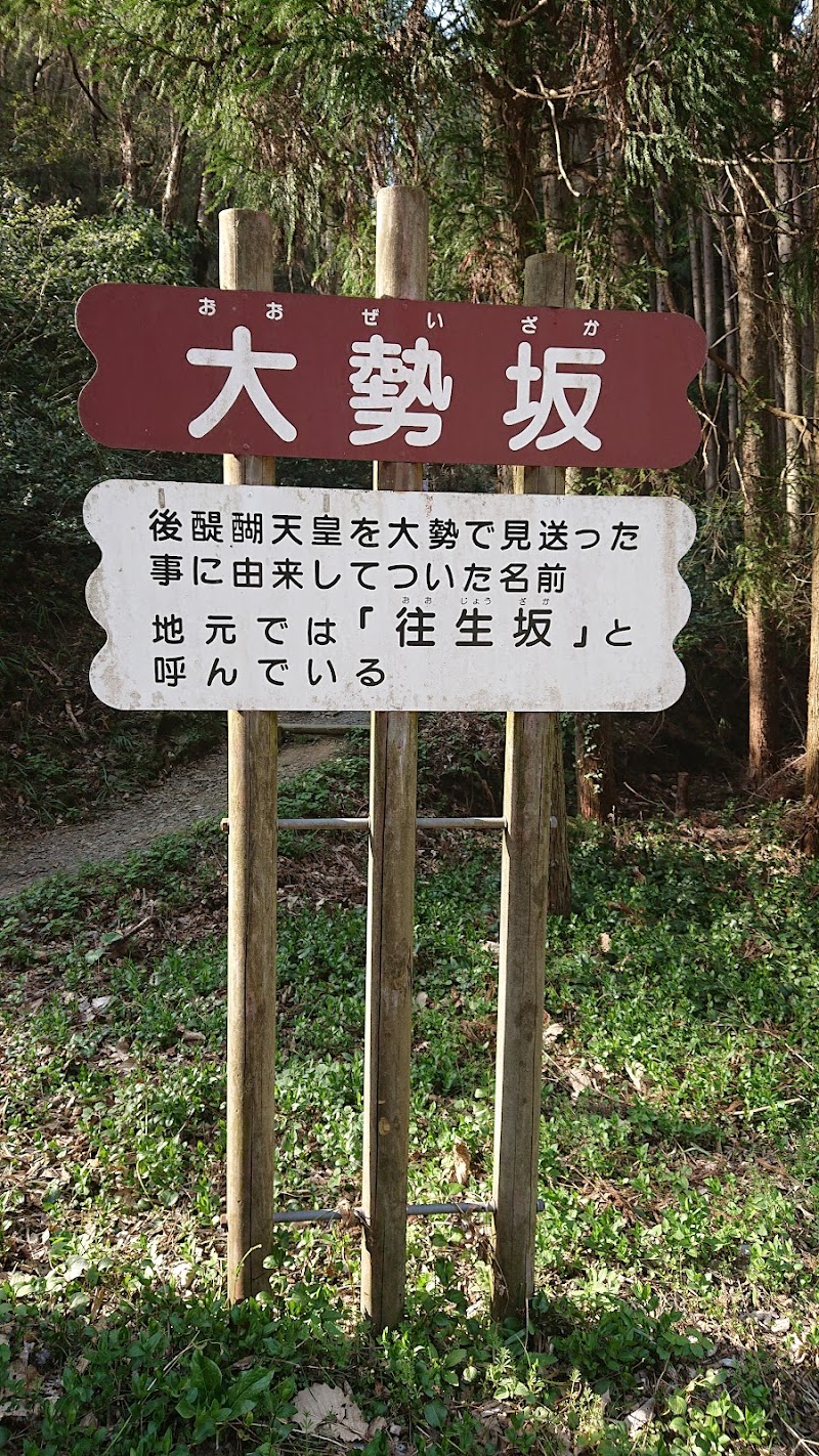 醍醐桜ハイキング臨時駐車場