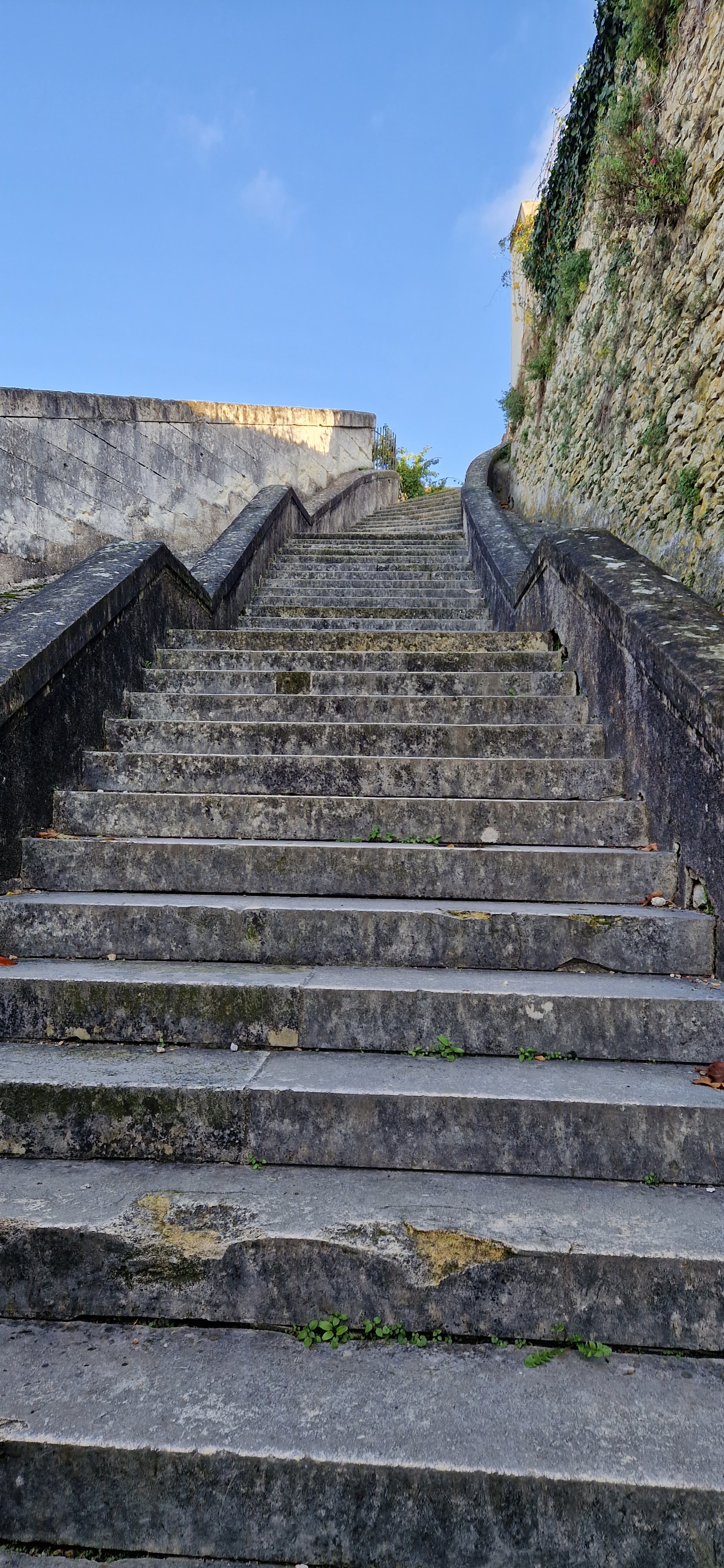Photo n° 2 de l'avis de Manuella.a fait le 22/11/2022 à 13:40