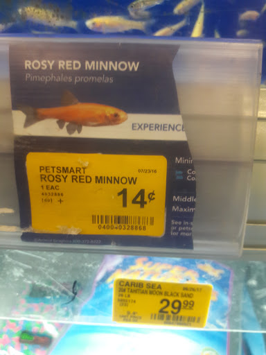 Pet Supply Store «PetSmart», reviews and photos, 250 Grossman Dr, Braintree, MA 02184, USA