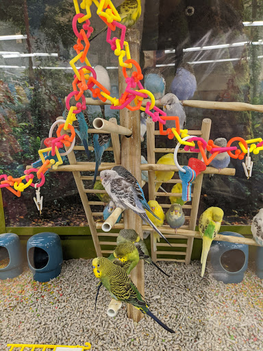 Pet Supply Store «Petco Animal Supplies», reviews and photos, 205 Washington St #11, Hudson, MA 01749, USA