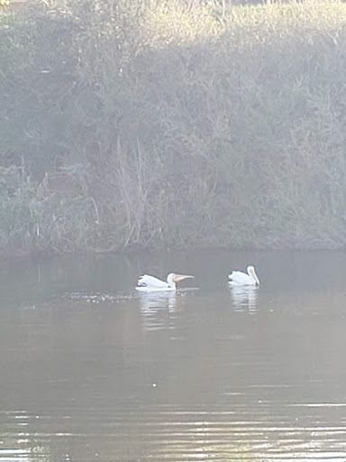 Golf Course «Raccoon Creek Golf Course», reviews and photos, 7301 W Bowles Ave, Littleton, CO 80123, USA