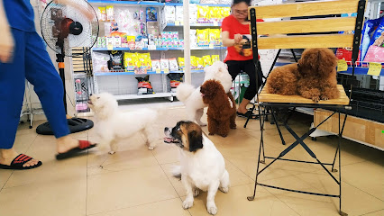 PetCare - Pet shop, tỉa lông, tắm, tiêm phòng, bán thức ăn và phụ kiện chó mèo