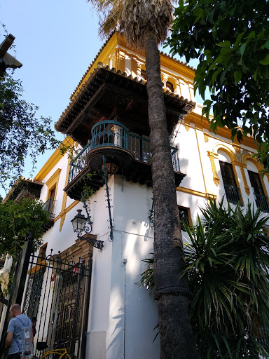 Imagen del negocio Instituto Andaluz de Flamenco en Sevilla, Sevilla