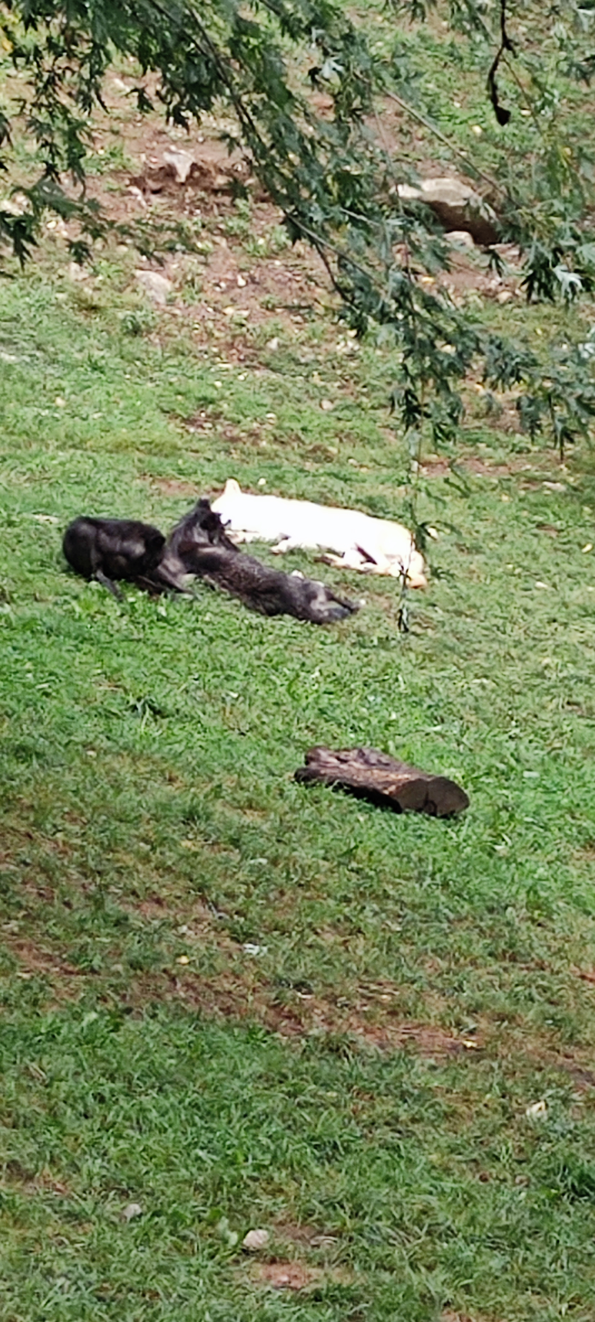 Photo n° 1 de l'avis de Gary.e fait le 02/09/2023 à 13:07