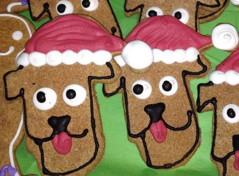 Pet Supply Store «Island Paws», reviews and photos, 630 Tarpon Bay Rd # 5, Sanibel, FL 33957, USA